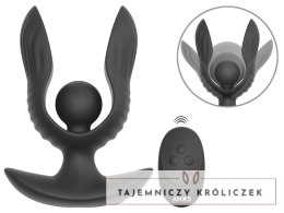 ANOS RC Inflatable Expander Plug - model z funkcją wibracji i pompką ANOS