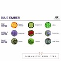 Eye of Love Bloom Blue Ember odświeżacz do pomieszczeń 150 ml EYE OF LOVE