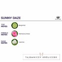 Eye of Love Bloom Spray Sativa Sunny Daze odświeżacz feromonowy 150 ml EYE OF LOVE