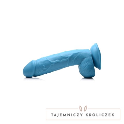 PXR Brands POP model anatomiczny z jądrami 21 cm makowy kolor XR Brands