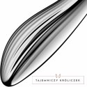 Satisfyer Pure Gravity 1 - dwustronny model ze stali nierdzewnej, srebrny SATISFYER DILDO