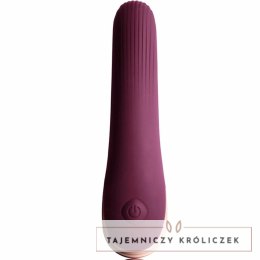 Climaximum Mia - dyskretny wibrator wodoodporny, silikonowy, 10 trybow CLIMAXIMUM