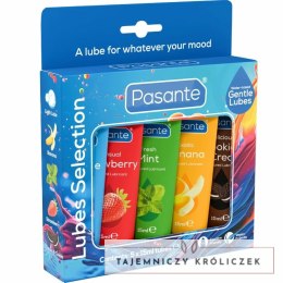Pasante Zestaw Lubrykantow Smakowych 5x15ml Woda Bez Parabenow Vegan PASANTE