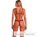 Passion Belissana Komplet Bielizny Bordowy S/M Koronka Elegancka Passion