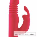 Treasure Missouri Rożowy - Wielofunkcyjny Model Silikonowy IPX7 3 Silniki DREAMLOVE