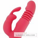 Treasure Missouri Rożowy - Wielofunkcyjny Model Silikonowy IPX7 3 Silniki DREAMLOVE