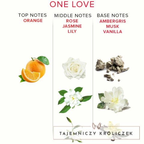 Eye of Love One Love Parfum Deluxe 50ml - damska kompozycja z feromonami EYE OF LOVE