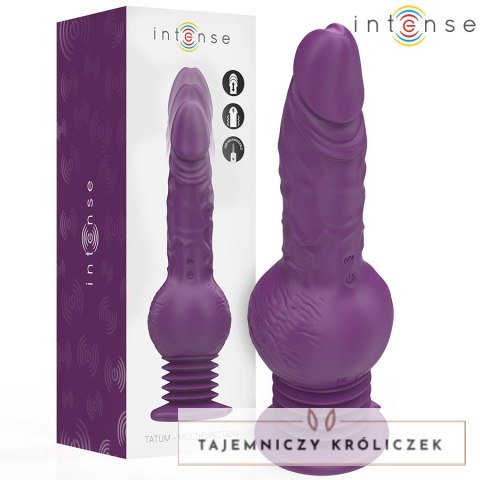 Intense Tatum wielofunkcyjny model z ruchem gora-doł, fioletowy 24 cm INTENSE