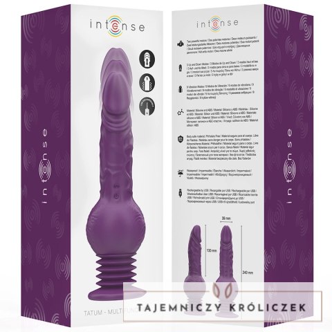 Intense Tatum wielofunkcyjny model z ruchem gora-doł, fioletowy 24 cm INTENSE