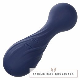 CalExotics Charisma Temptation masażer 12 trybow fioletowy IPX7 USB CALEXOTICS