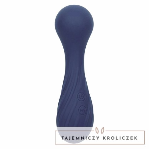 CalExotics Charisma Temptation masażer 12 trybow fioletowy IPX7 USB CALEXOTICS