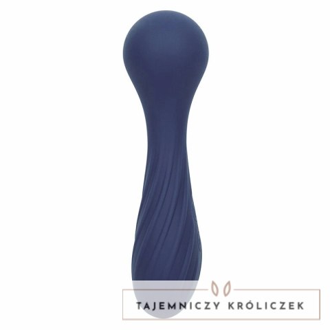 CalExotics Charisma Temptation masażer 12 trybow fioletowy IPX7 USB CALEXOTICS