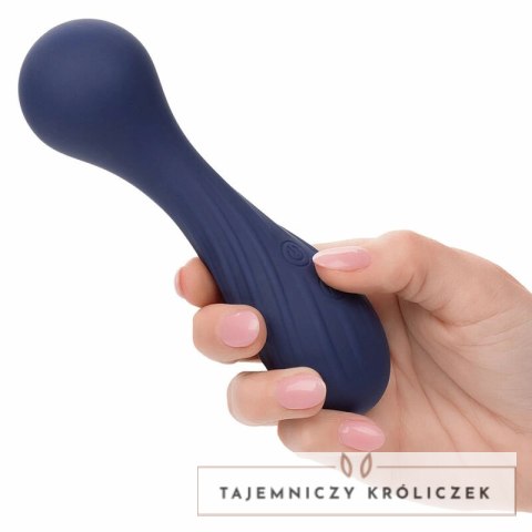 CalExotics Charisma Temptation masażer 12 trybow fioletowy IPX7 USB CALEXOTICS
