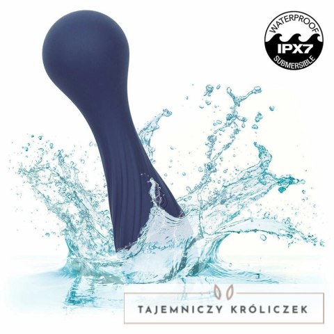 CalExotics Charisma Temptation masażer 12 trybow fioletowy IPX7 USB CALEXOTICS