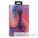 CalExotics Charisma Temptation masażer 12 trybow fioletowy IPX7 USB CALEXOTICS