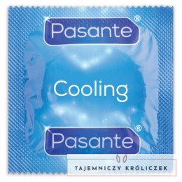Pasante Climax Mix Efekt Ogrzewania i Chłodzenia 12 sztuk PASANTE