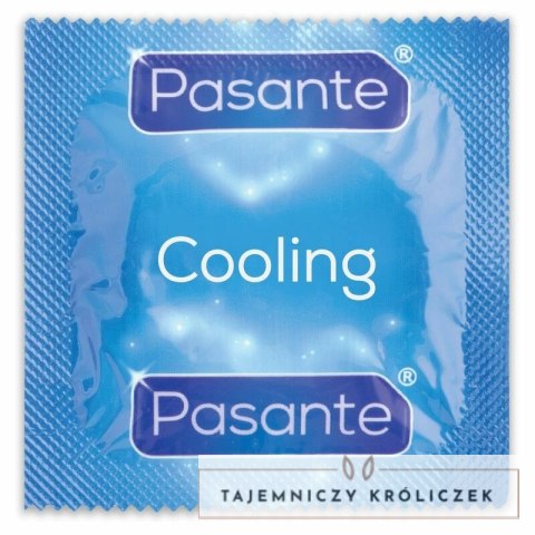 Pasante Climax Mix Efekt Ogrzewania i Chłodzenia 12 sztuk PASANTE