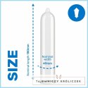 Pasante Trim 3szt - precyzyjne, cienkie osłonki anatomiczne 49 mm PASANTE