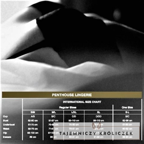 Penthouse Too Hot To Be Real stringi koronkowe bordowe L/XL PENTHOUSE