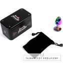 Secret Play Rainbow Metalowy wtyk intymny mały 7 cm dekoracyjny kryształ SECRETPLAY