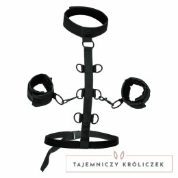 CalExotics Boundless Collar - system z kołnierzem i mankietami, regulowany CALEXOTICS