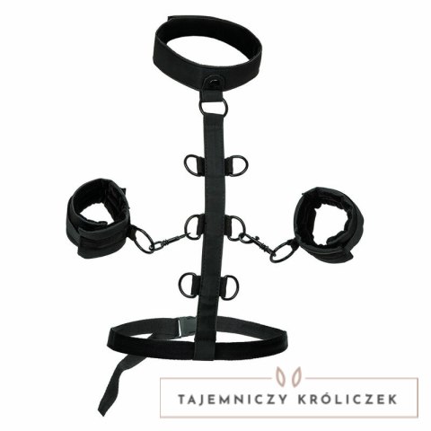 CalExotics Boundless Collar - system z kołnierzem i mankietami, regulowany CALEXOTICS