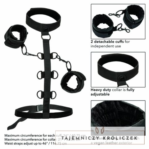 CalExotics Boundless Collar - system z kołnierzem i mankietami, regulowany CALEXOTICS