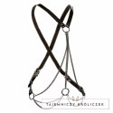 CalExotics Euphoria Multichain Uprząż Plus Size, luksusowa, regulowana CALEXOTICS