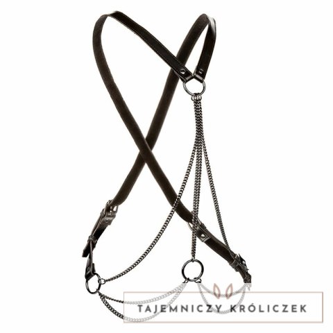 CalExotics Euphoria Multichain Uprząż Plus Size, luksusowa, regulowana CALEXOTICS