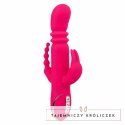CalExotics Jack Rabbit Triple Fantasy Pink - system podgrzewania, 3 strefy CALEXOTICS