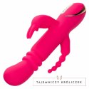 CalExotics Jack Rabbit Triple Fantasy Pink - system podgrzewania, 3 strefy CALEXOTICS