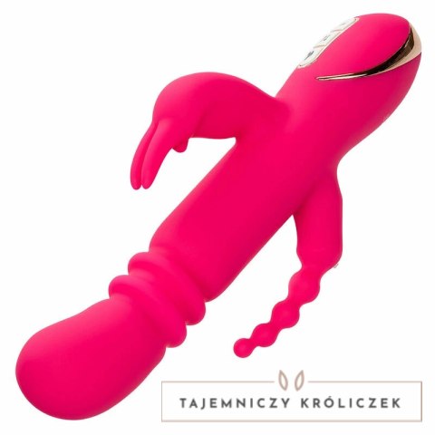 CalExotics Jack Rabbit Triple Fantasy Pink - system podgrzewania, 3 strefy CALEXOTICS