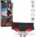 CalExotics Scandal Majtki z Uchwytem i Sondą Silikonową L/XL CALEXOTICS