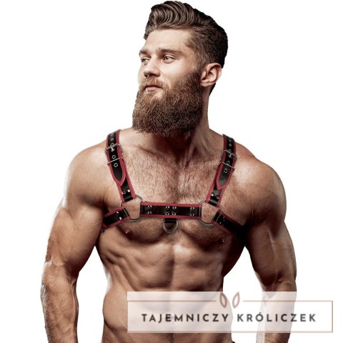 Fetish Submissive Attitude Uprząż męska na klatkę piersiową czarno-czerwona, eco-skora FETISH SUBMISSIVE