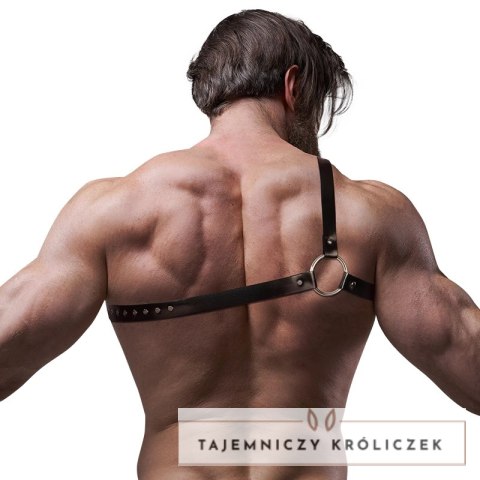 Fetish Submissive Attitude uprząż męska z eko skory, regulowana FETISH SUBMISSIVE