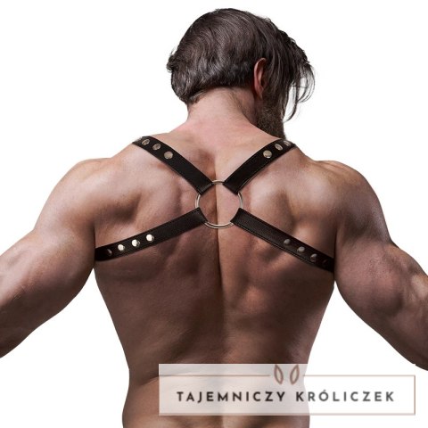 Fetish Submissive Attitude uprząż męska z eko-skory, regulowana, czarna FETISH SUBMISSIVE