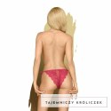 Penthouse Too Hot To Be Real Stringi koronkowe bordowe S/M PENTHOUSE