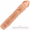 Baile DYBBUK Model Wibrujący 24 cm Flesh - System Anatomiczny TPR BAILE