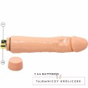 Baile DYBBUK Model Wibrujący 24 cm Flesh - System Anatomiczny TPR BAILE
