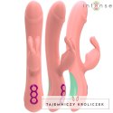 Intense Rachel Rabbit model oscylacyjny 5 trybow rożowy silikon 23cm INTENSE
