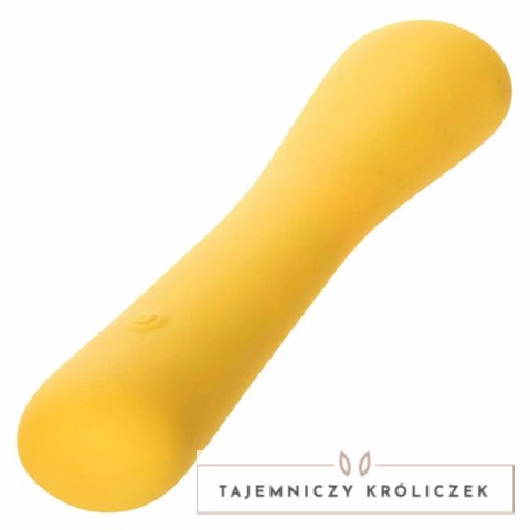 CalExotics Boundless Mini FlexiWand elastyczny minimasażer silikonowy CALEXOTICS