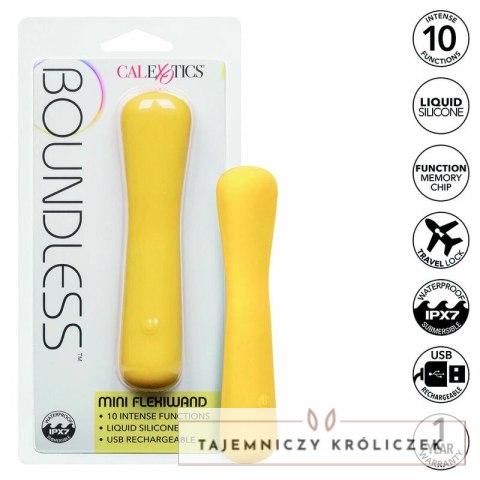 CalExotics Boundless Mini FlexiWand elastyczny minimasażer silikonowy CALEXOTICS