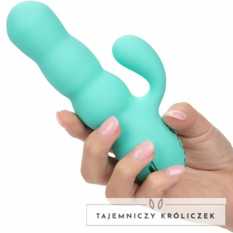 CalExotics California Dreaming Del Mar Diva Aqua Green - podwojny masażer z funkcją pchania CALEXOTICS