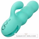 CalExotics California Dreaming Del Mar Diva Aqua Green - podwojny masażer z funkcją pchania CALEXOTICS