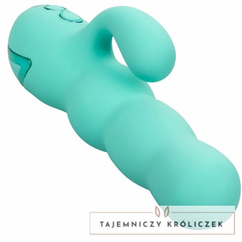 CalExotics California Dreaming Del Mar Diva Aqua Green - podwojny masażer z funkcją pchania CALEXOTICS