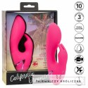 CalExotics California Dreaming So. Cal Sunshine krolik fuksja USB CALEXOTICS