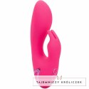 CalExotics California Dreaming So. Cal Sunshine krolik fuksja USB CALEXOTICS
