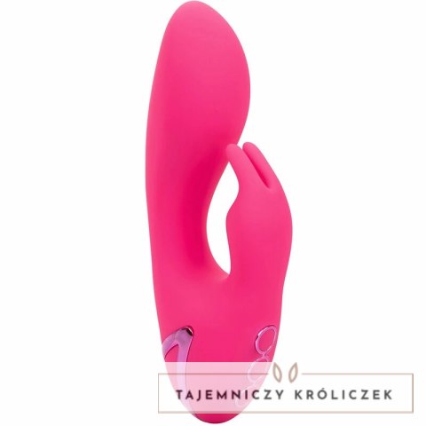 CalExotics California Dreaming So. Cal Sunshine krolik fuksja USB CALEXOTICS