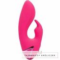 CalExotics California Dreaming So. Cal Sunshine krolik fuksja USB CALEXOTICS
