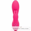 CalExotics California Dreaming So. Cal Sunshine krolik fuksja USB CALEXOTICS